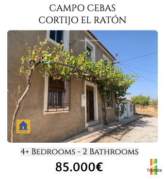 cuevas spain cheap property